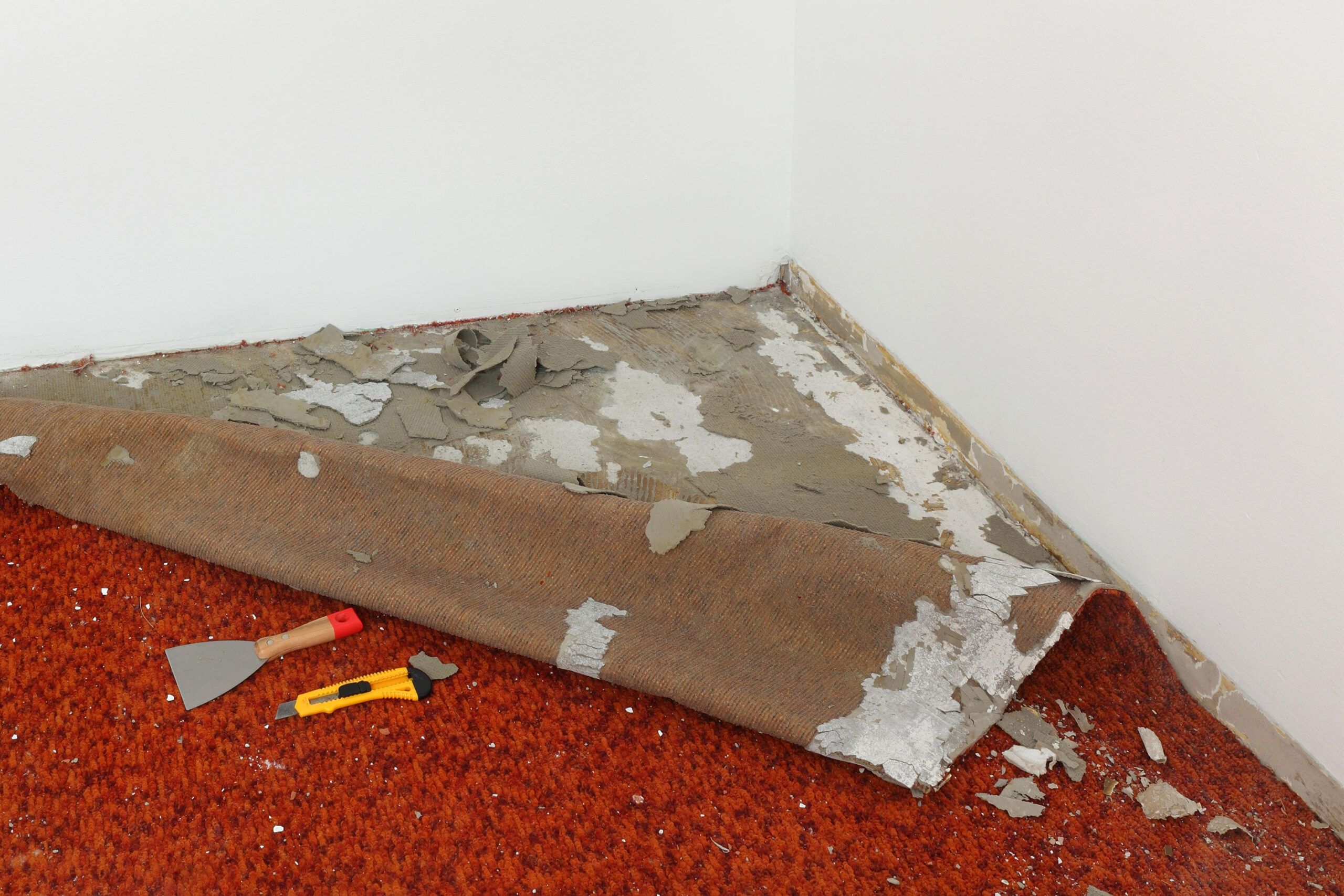 Carpet Floor Removal